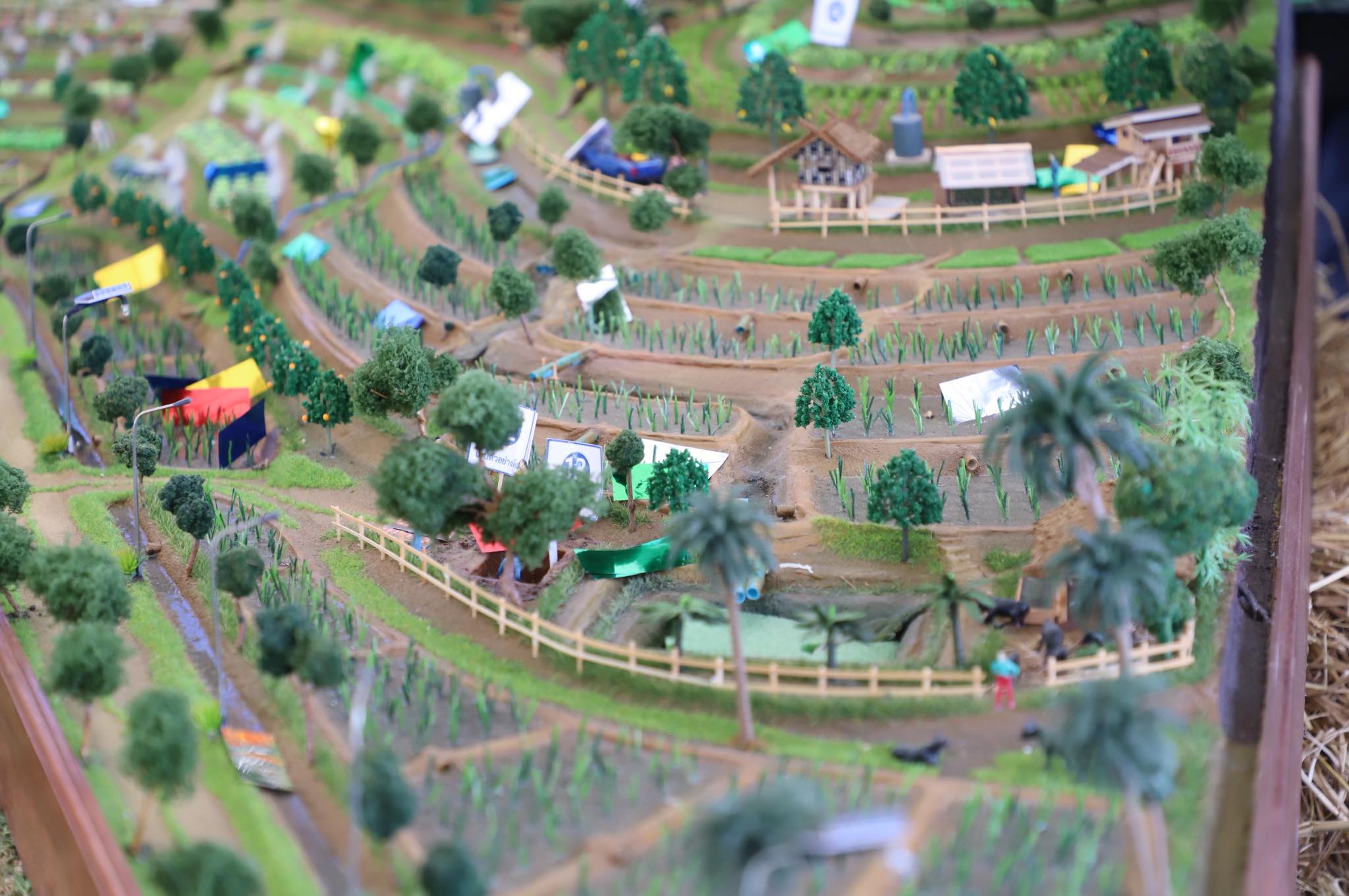 title - เลขาฯ ส.ป.ก. ร่วมงาน “ไถกลบ ตอซัง สร้างดินยั่งยืน ฟื้นสิ่งแวดล้อม”